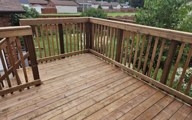 Trex Decking